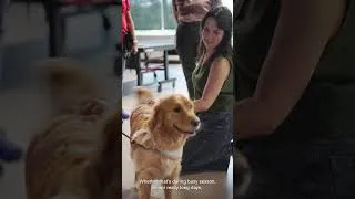 Thumbnail: ICAN Puppies Visit KSM's Indy Office