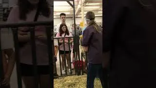 Thumbnail: Kansas State Fair Birthing Center 9/8/23 - Introducing Lizzy the Lamb