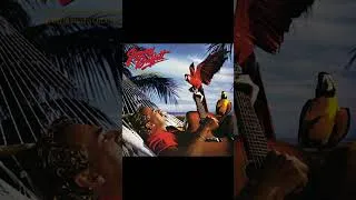 Thumbnail: Jimmy Buffett vs. Kid Rock on ageing