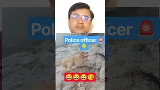 Thumbnail: 😂 बंदर ने की ऐसी तलाशी कि सबके होश उड़ गए! 🐒🤣जेब में क्या मिला, सुनकर आप भी हंस पड़ेंगे! 😂🔥