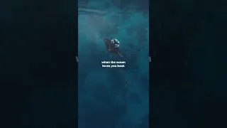 Thumbnail: Indonesia Marine Wildlife Encounter with Kudanil Explorer