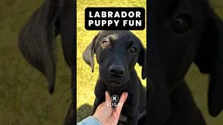 Thumbnail: 11 Weeks Old & Her Character Is Showing!