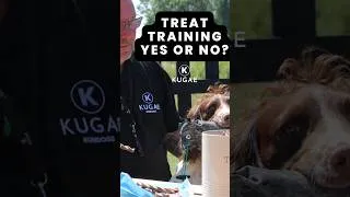 Thumbnail: My Honest View On Treat Training