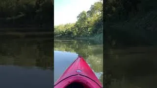 Thumbnail: Grand River Sept 28 2025