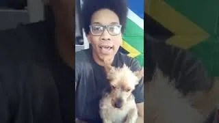 Thumbnail: Fun Fact of the Day: Dogs ARE Ticklish!