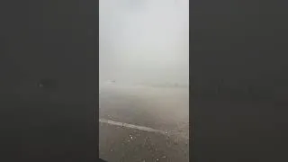 Thumbnail: Storm shatters car window, knocks trees into Lynndyl road