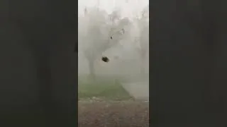 Thumbnail: 🚨 POWERFUL STORM: Video from a Lynndyl resident shows the storm moving through the area.