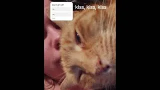 Thumbnail: Help Gizmo's momma recover from brain surgery! #youtube #shorts #god #cat #gofundme (in comments) 🙏🏻