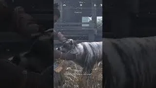 Thumbnail: What to do when there's a dog in a game (Step by step guide!)