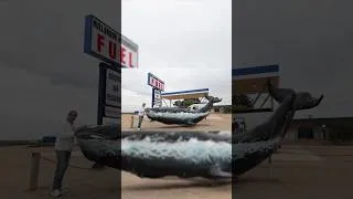 Thumbnail: Whale watching in the Australian outback! #travel #australia #roadtrip #nullabor #outback