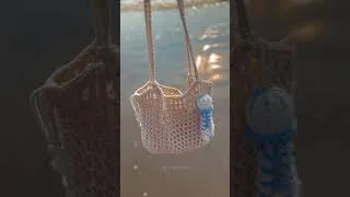 Thumbnail: ˖°𓇼🌊⋆🪼*🫧