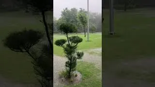 Thumbnail: Rainy day in Delhj 7th August 2026