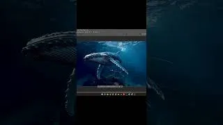 Thumbnail: Wonders of Ocean 4K ULTRA HD – Thumbnail Edit – L. Hartman - 4K World Escapades