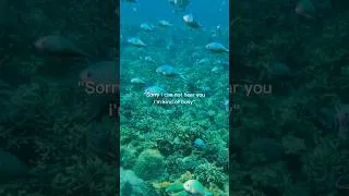 Thumbnail: Why my boss calls on vacation me… I’m kind busy. #boracay #philippines #scubadiving #beach #travel