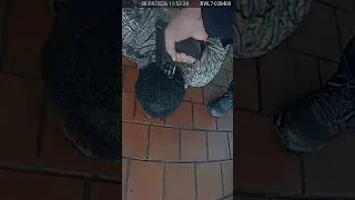 Thumbnail: Cop "Relieved Of Duty"