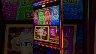 Thumbnail: This SUPER RARE FULLSCREEN Paid Out a Fortune!!! #slots #vegas #casino