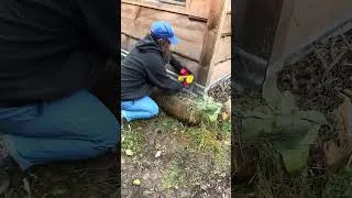 Thumbnail: They’re Destroying Our Plants