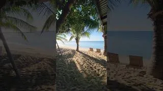 Thumbnail: summer came early 🏖 ☀️  #summer #beach #lifeupdate #lifelately #shorts