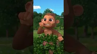 Thumbnail: Morning Routine with a Gorilla is So Fun! 🦍🪥 #morningroutine #brushyourteeth #gorilla #camping