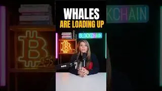 Thumbnail: Why Are Bitcoin Whales Buying Right Now?