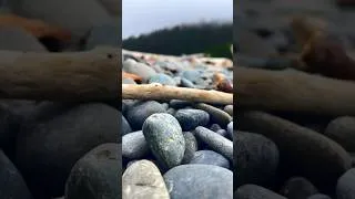 Thumbnail: Beach Pebbles for your landscape project #landscape #design #pnw #landscapedesigner