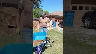 Thumbnail: Beefing Up Beds with CHEAP Clearance Plants