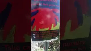 Thumbnail: STOP IT ! NO CLAMS FOR YOU