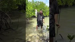 Thumbnail: Barramundi’s in KNEE DEEP WATER!!!! NT!!!