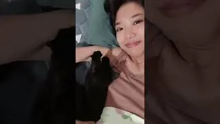 Thumbnail: The kitten has very sharp claws 🐱