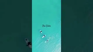 Thumbnail: Surfer at Manhattan beach