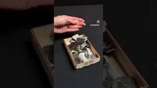 Thumbnail: Laserox STALKER Organizer