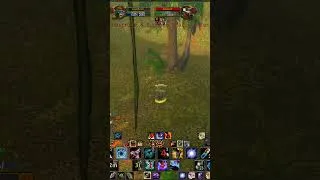 Thumbnail: WoW Classic TBC reunion Represents: BM Hunter vs Feral