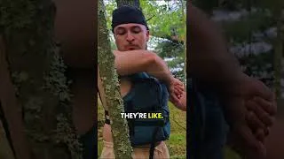 Thumbnail: Look what we found! 🏝️ #shorts #camping #adventure