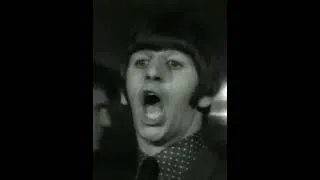Thumbnail: Happy Birthday Ringo Starr! #birthday #ringostarr #thebeatles