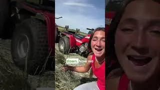 Thumbnail: Total Lawn Transformation!