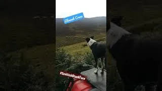 Thumbnail: Cruze on Blackies duty 👆