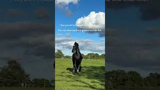 Thumbnail: Have you ever seen a horse get this excited