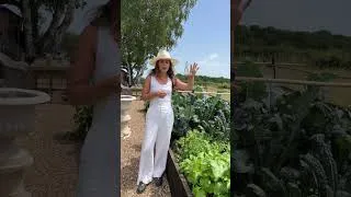 Thumbnail: Vegetable Garden Tour / June Edition 🥬 #gardening #vegetablegarden #kitchengarden