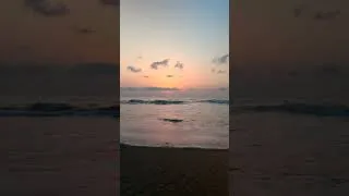 Thumbnail: ECR Beach at its best | Shorts | Chennai ECR