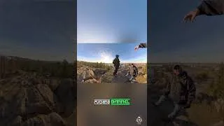 Thumbnail: Watch This Bird's INSANE Barrel Roll Landing! 🤯 #shorts