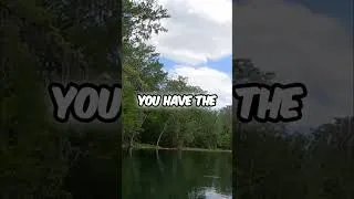 Thumbnail: Serene Kayaking Adventure Spotting Wildlife #shorts