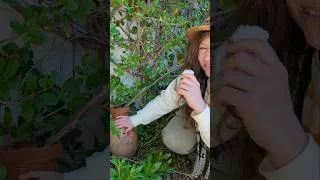 Thumbnail: Zero Irrigation Ancient Technique Creates Water From Air To Feed Plants in The Desert