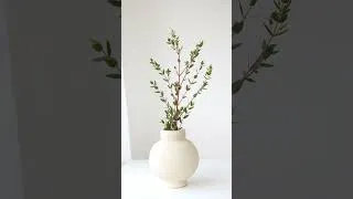 Thumbnail: Eucalyptus Plant