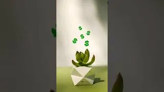 Thumbnail: Jade Plane make Friendship & money. #fengshui #indoorsplants #viral #money #friendship
