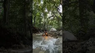 Thumbnail: A place to calm down 🌲