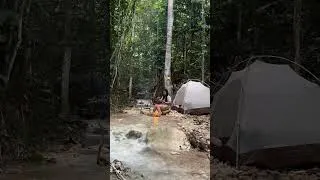 Thumbnail: Nature is the most comfortable place 🍃