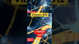 Thumbnail: Vitamin B12 के मुख्य कार्य