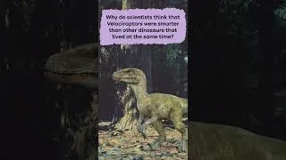 Thumbnail: Dinos A to Z: Velociraptor | #shorts