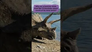 Thumbnail: Dinos A to Z: Triceratops | #shorts