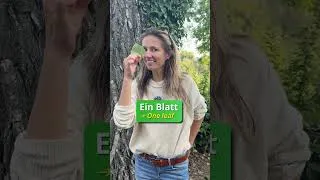 Thumbnail: 🌳 German Vocabulary: Tree Edition 🇩🇪
